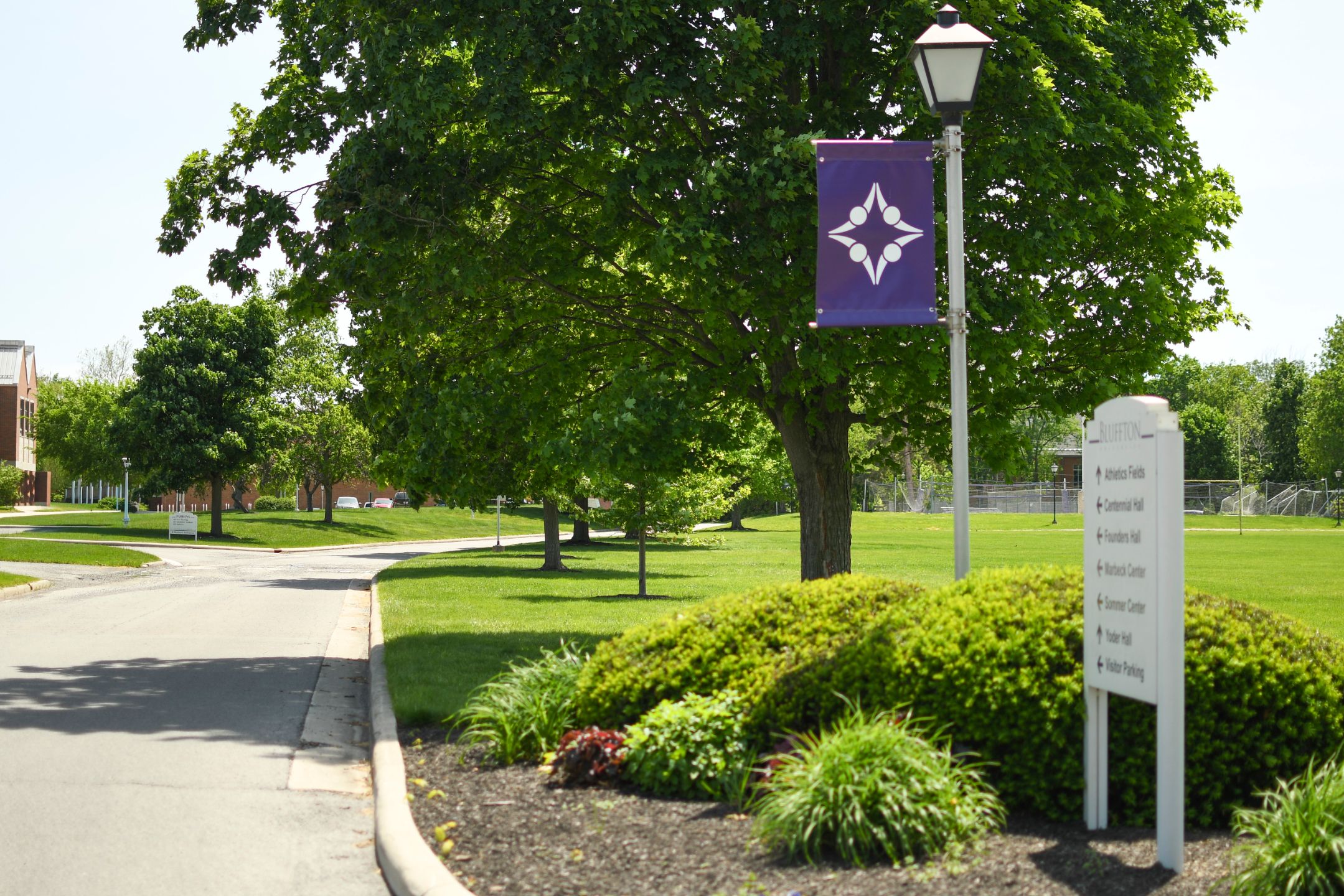 Rosenberger Drive
